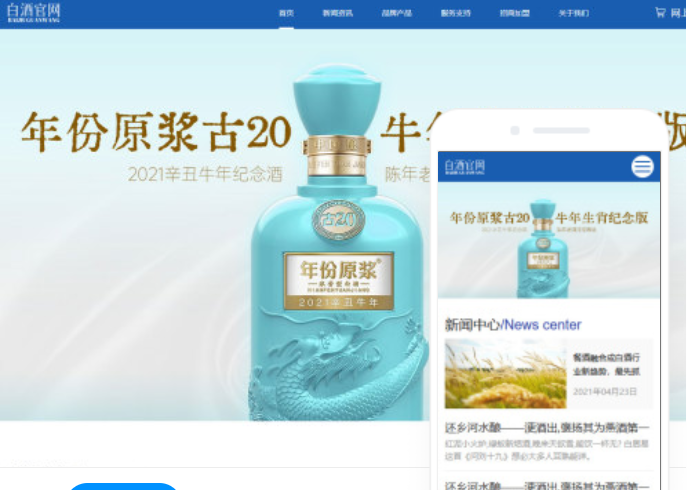 電子商務(wù)網(wǎng)站開發(fā)